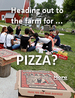 Pizza farms have sprouted across the country as agritourism grows, and they’re particularly popular in Minnesota and Wisconsin, where they provide small farms with extra income .